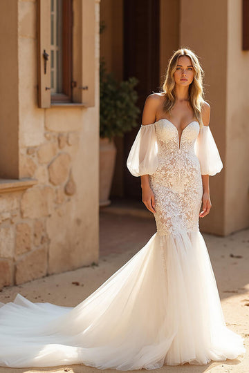 Ivory Mermaid Court Train Tulle Wedding Dress with Lace Appliques